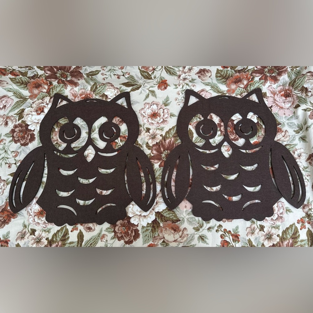 Two Laser Cut Owl Placemats